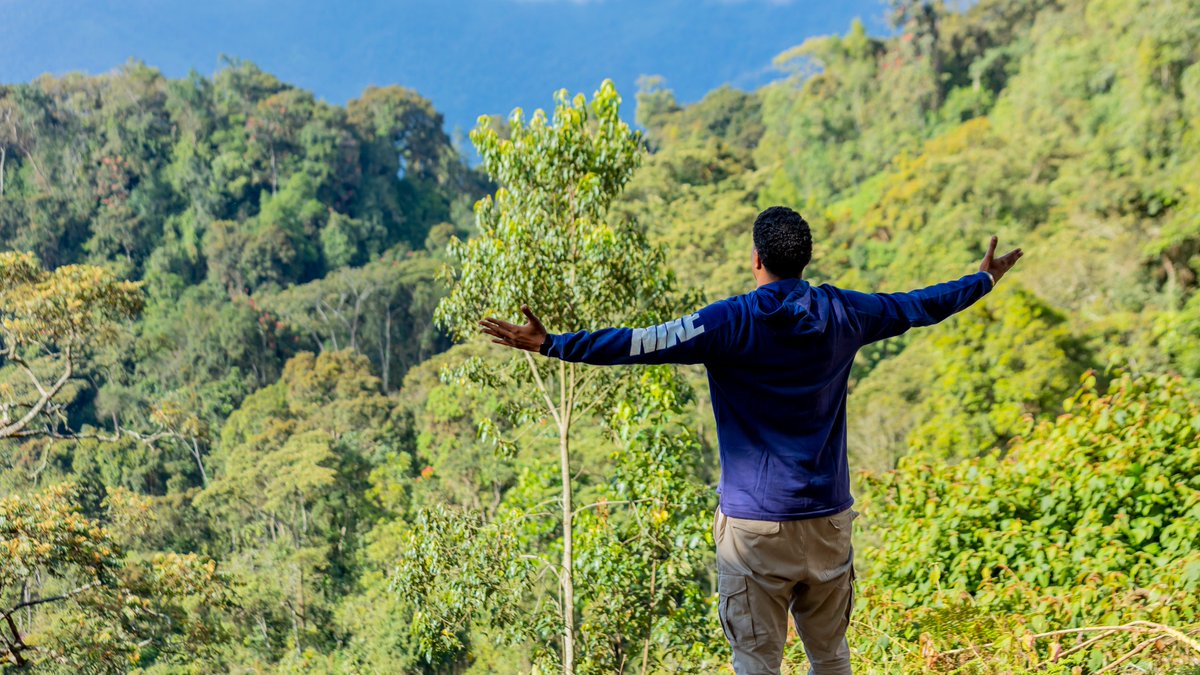 AfricaTourismS1's tweet photo. Parce qu'il y a des endroits extrêmement beaux en Afrique !
Nous vous invitons à l'aventure 🤩 Visit Rwanda now !
#ats #Rwanda #nyungwe #visitrwanda #rwandadevelopmentboard #Stopwondering #Startdiscovering #africaissweet #experience #sustainabletourism #tourism4Dev https://t.co/iernesq6Zy