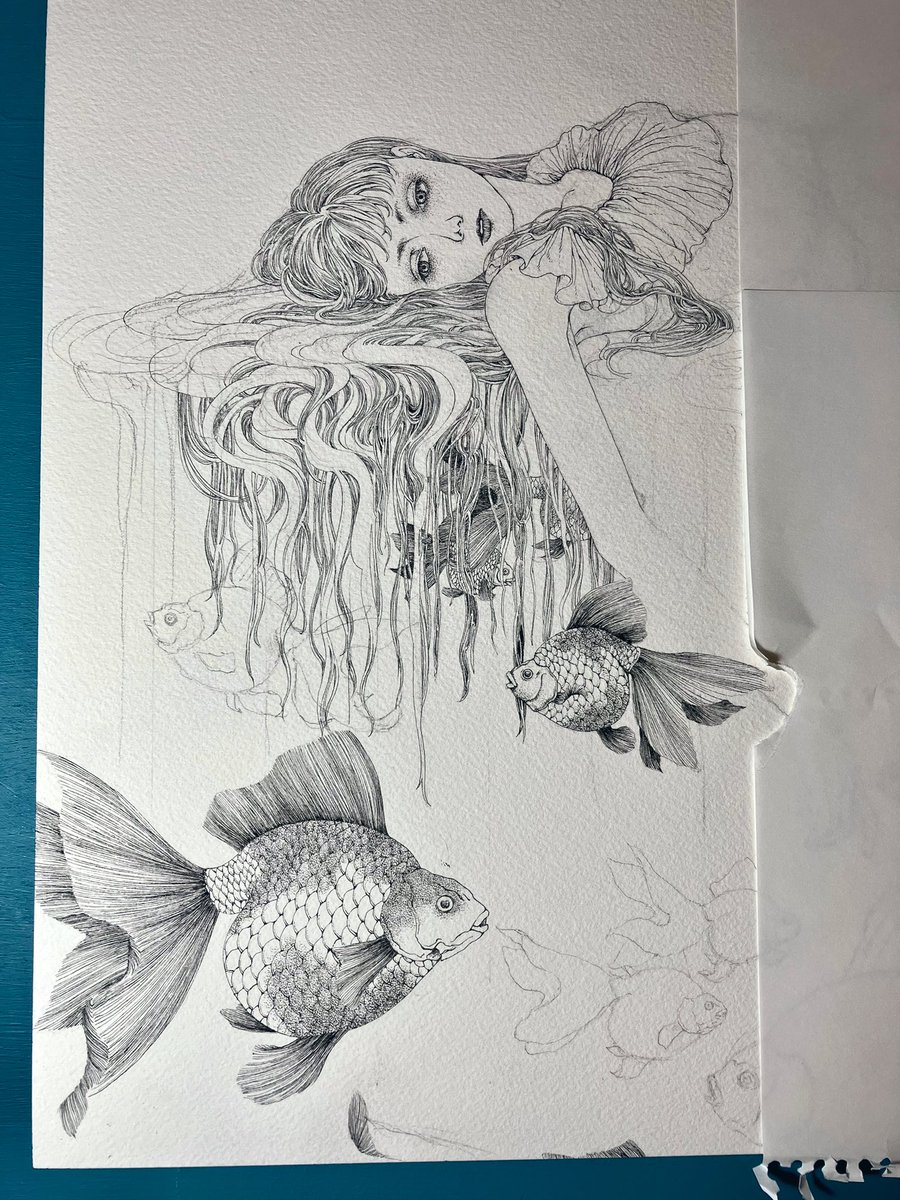 今日はこれにて
#ペン画 #丸ペン #絵 #制作過程 #art #illustration #drawing #penandink #wip
