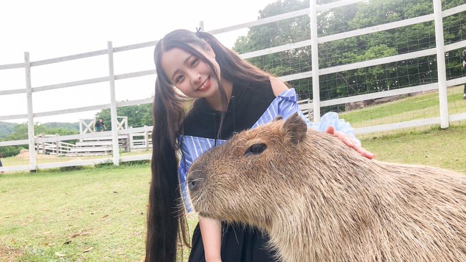 Twitterのコスプレ画像16