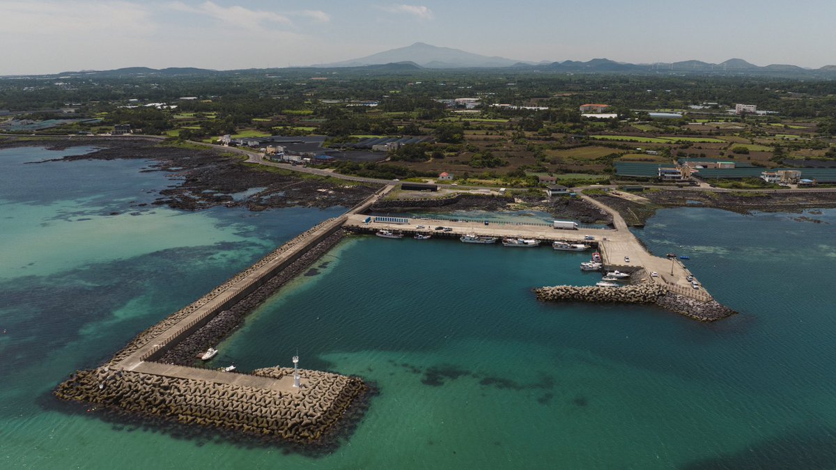 Damien Gilbert tweet media