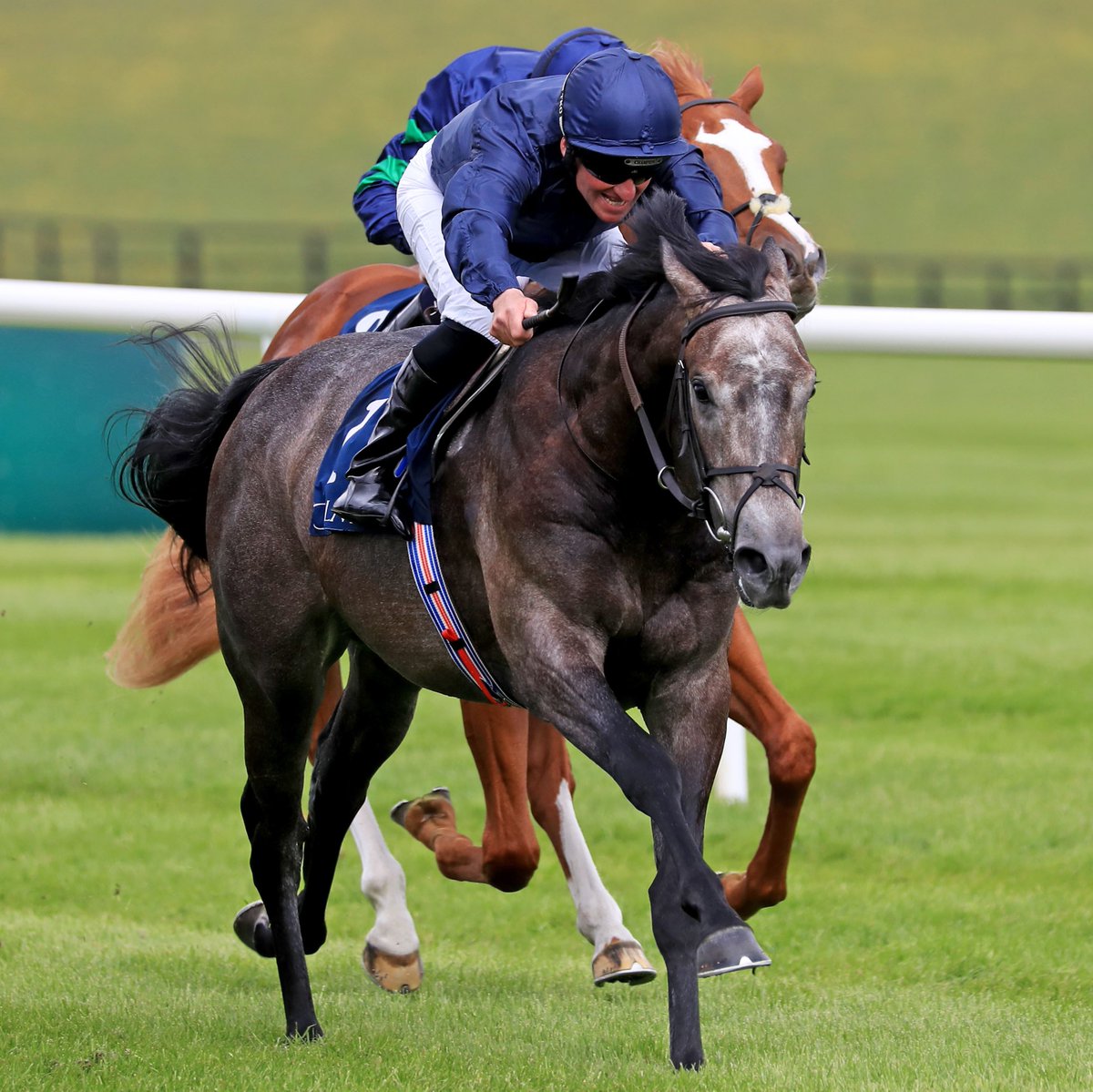 AtTheRaces's tweet photo. See you at Royal @Ascot, The Antarctic! https://t.co/kGfCUMkNJw