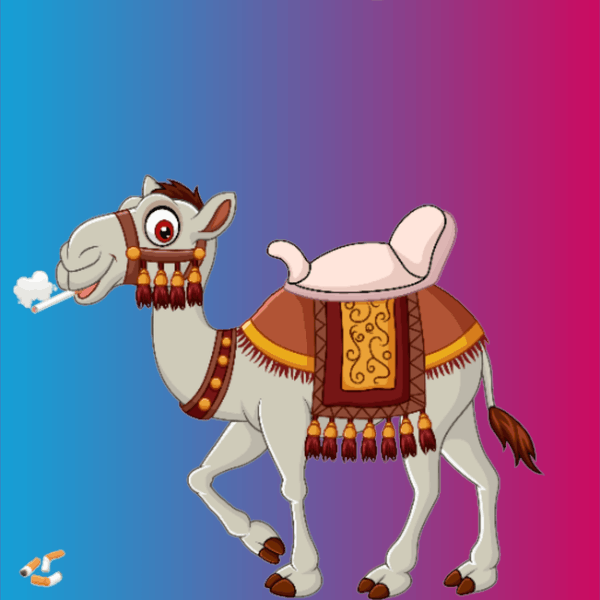 Drop Your Near Id and Tag 3 User

#NEAR #NEARnft #Airdrops #Giveaways