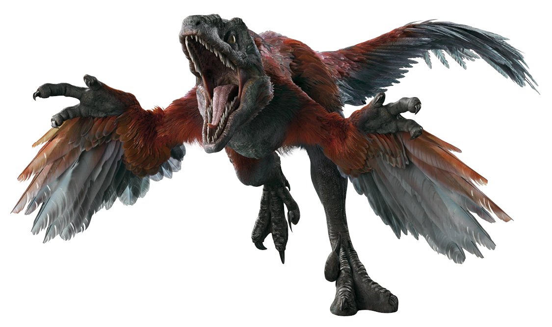 Lace Raptor Knight_Steve on Twitter: