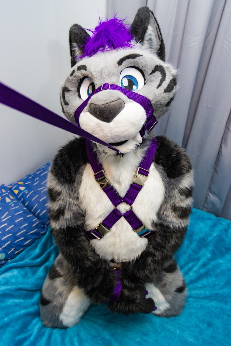Kato_Saber's tweet photo. Me after one raspberry vodka cruiser π€
#furry #lightweightpro
π·:@Negadrake https://t.co/ztSHDD0MtW