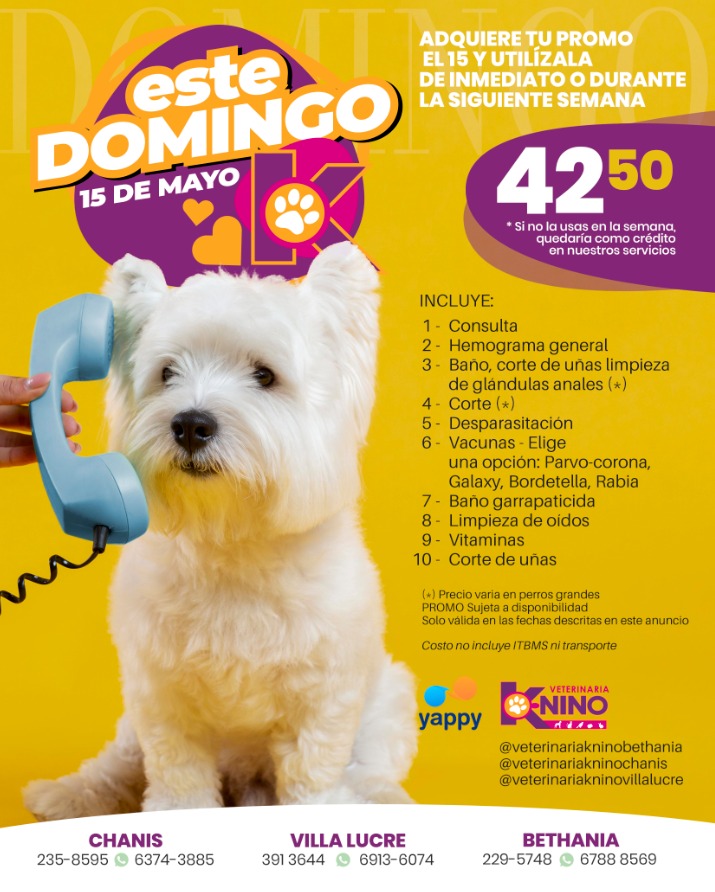 tioknino's tweet photo. Aprovecha tu promoción de hoy Domingo 15 de Mayo https://t.co/c8pPXLJU2r