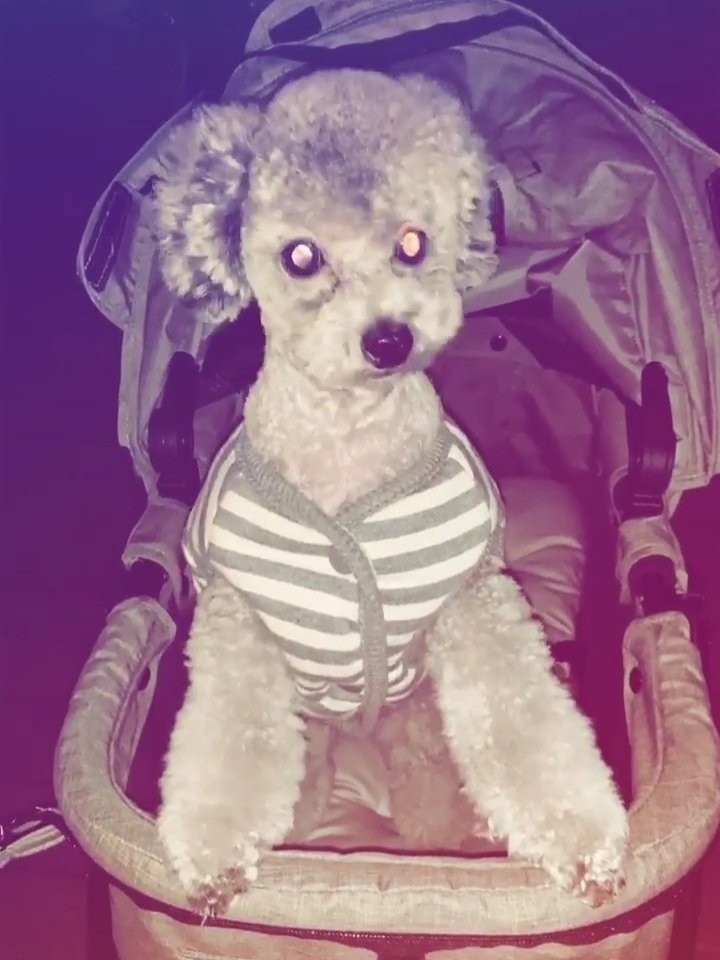 hourly zero (@hourly_zero) on Twitter photo 