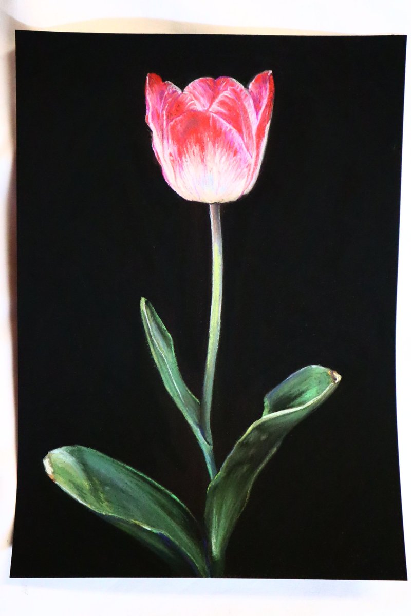 最大71%OFFクーポン パステル画 涼風 91cm×122cm sushitai.com.mx