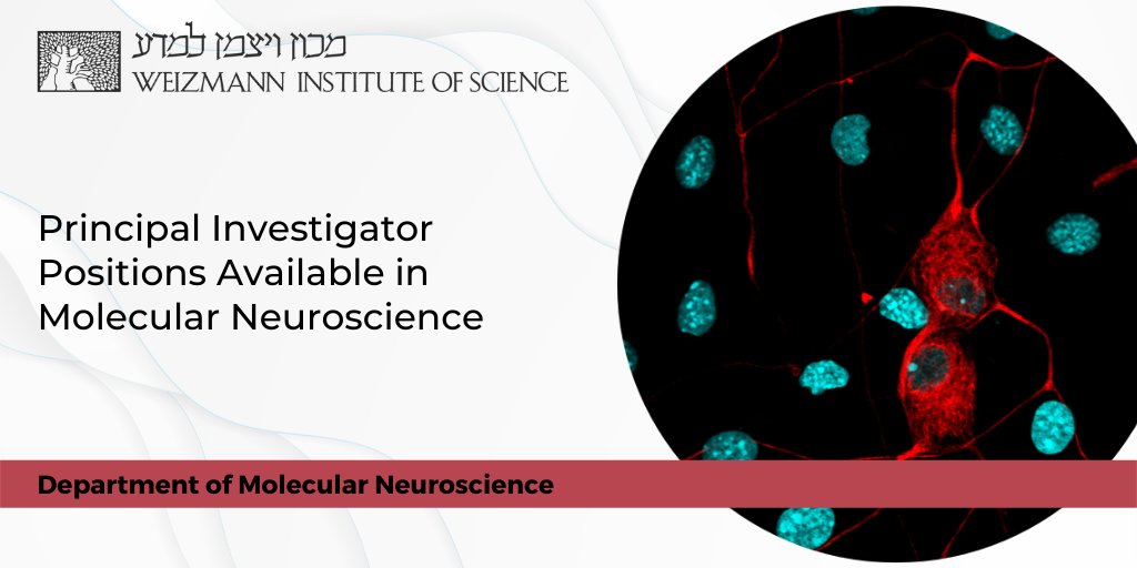 Weizmann Institute tweet media