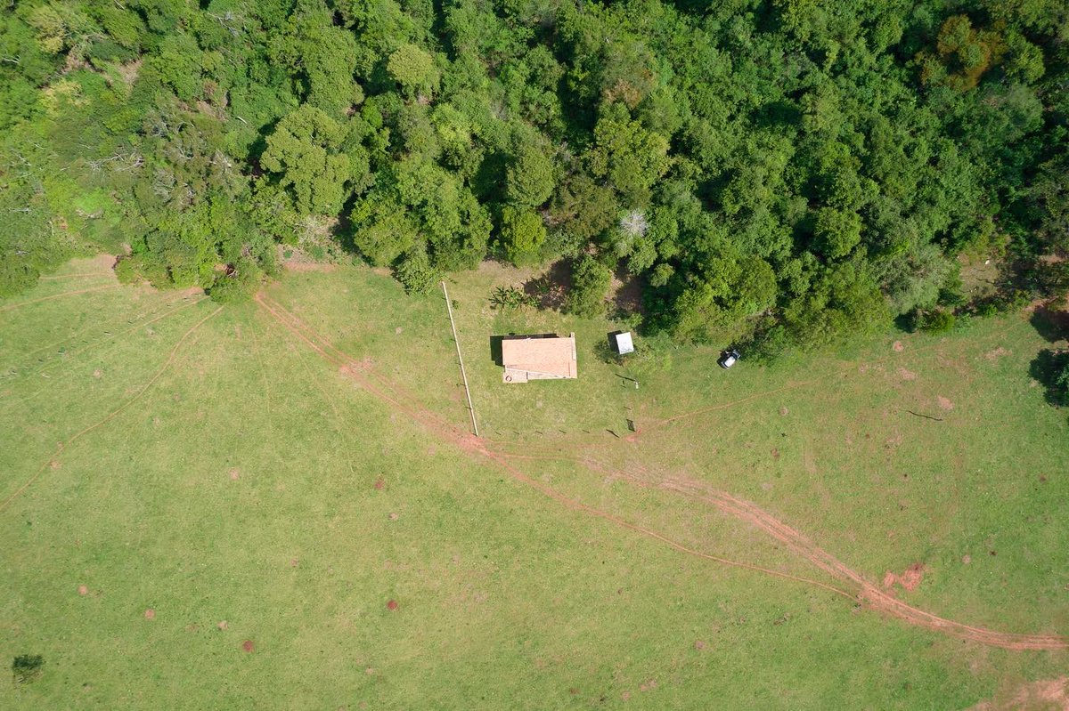 miky_gm's tweet photo. Casa Rural. 70m2
.
.
Departamento de Cordillera, Santa Elena. Coincidiendo con el túnel verde de esta ciudad. Protege el bosque de tormentas y tornados, pero a su vez retirada de él para evitar ser víctima de caídas de árboles. Una casa q hicimos con @emmerick77 https://t.co/txCZyav1R3