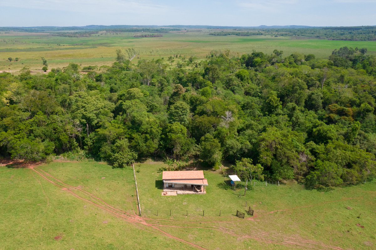 miky_gm's tweet photo. Casa Rural. 70m2
.
.
Departamento de Cordillera, Santa Elena. Coincidiendo con el túnel verde de esta ciudad. Protege el bosque de tormentas y tornados, pero a su vez retirada de él para evitar ser víctima de caídas de árboles. Una casa q hicimos con @emmerick77 https://t.co/txCZyav1R3