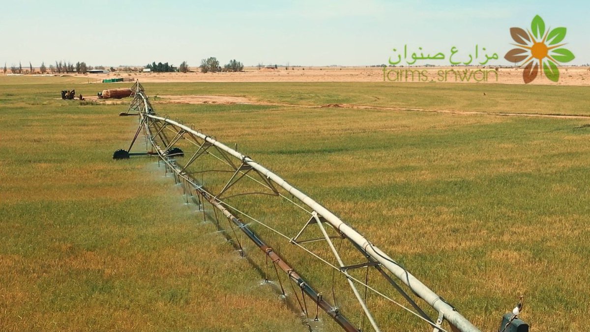 farms_snwan's tweet photo. جميع منتجاتنا متوفرة في متجر #النحل_الجوال👇
.
.
https://t.co/FU2jIfbgwz
ويمكنكم التواصل عبر الواتساب:
https://t.co/sWSEh5xZgr
#مزارع_صنوان https://t.co/e9wDh28t0Z