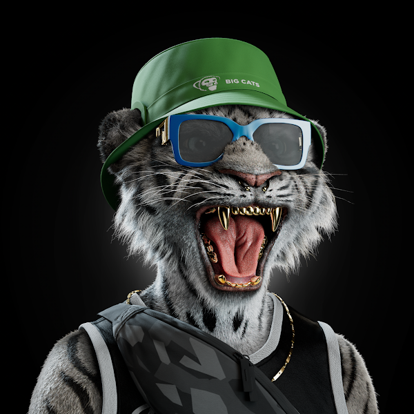Mehdi17N's tweet photo. @CabrahimNFT You know already that @bigcats_nft is a great community with great engagement and vibes...!!! 🔥🔥🔥🔥🔥🔥 https://t.co/Oq93mbEPAm
