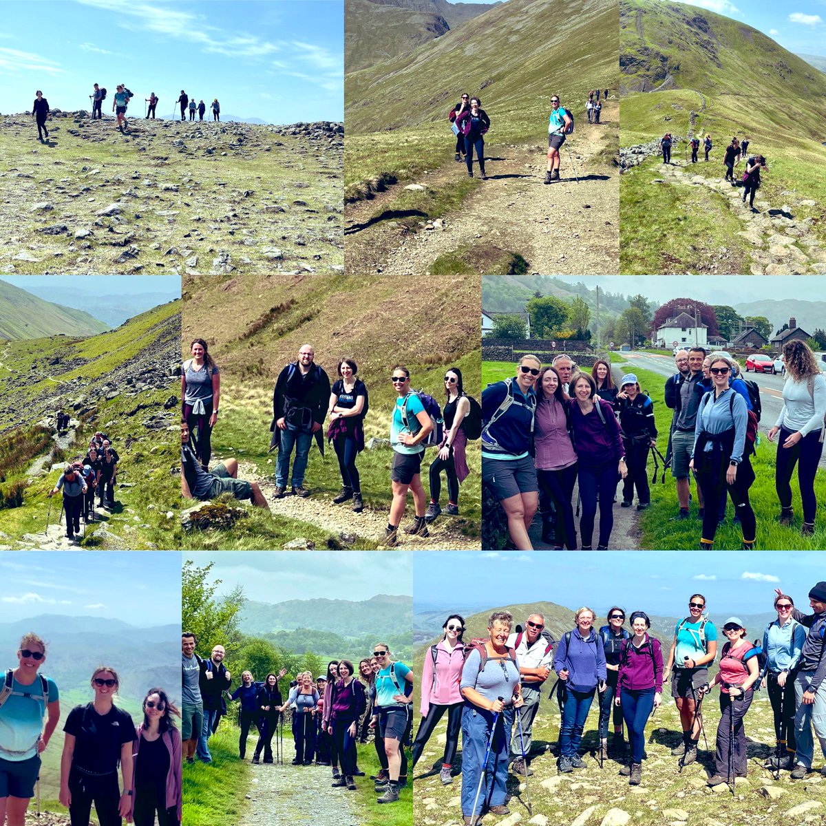 NEWSEAU's tweet photo. Saturday well spent 🏔☀️ 
Team bonding at its finest &amp; we conquered Fairfield peak. 

A big thank you to Adnan for organising a fun filled day! https://t.co/8IUmFCVSbB