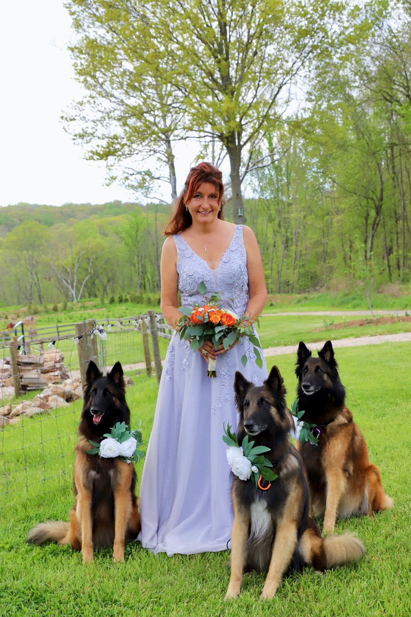 cokotervs's tweet photo. #cokobelgiantervs #puppylove #DogsofTwittter #weddingday https://t.co/pZAgXpHspA