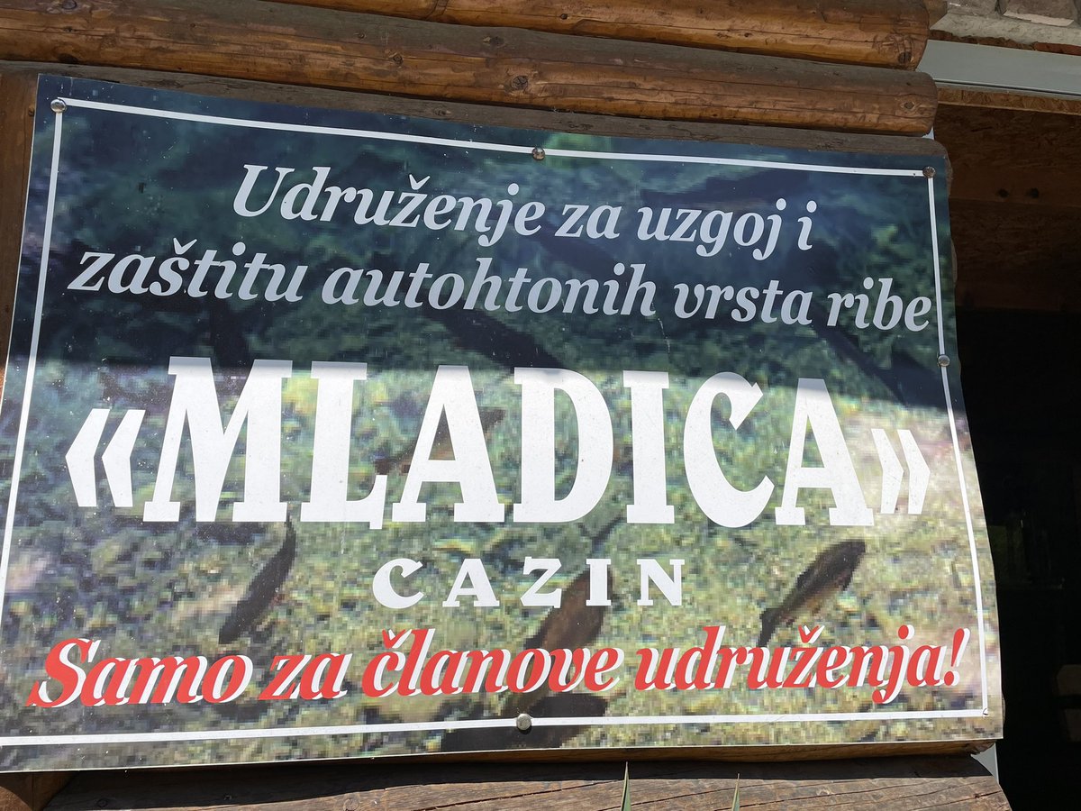 hamdijalj's tweet photo. Treba zasvirati i za pas zaditi @ramobunic 😁 #RodnaGruda #BiH #Krajina #Cazin #Ljubijankići https://t.co/vyNSzgJEPX
