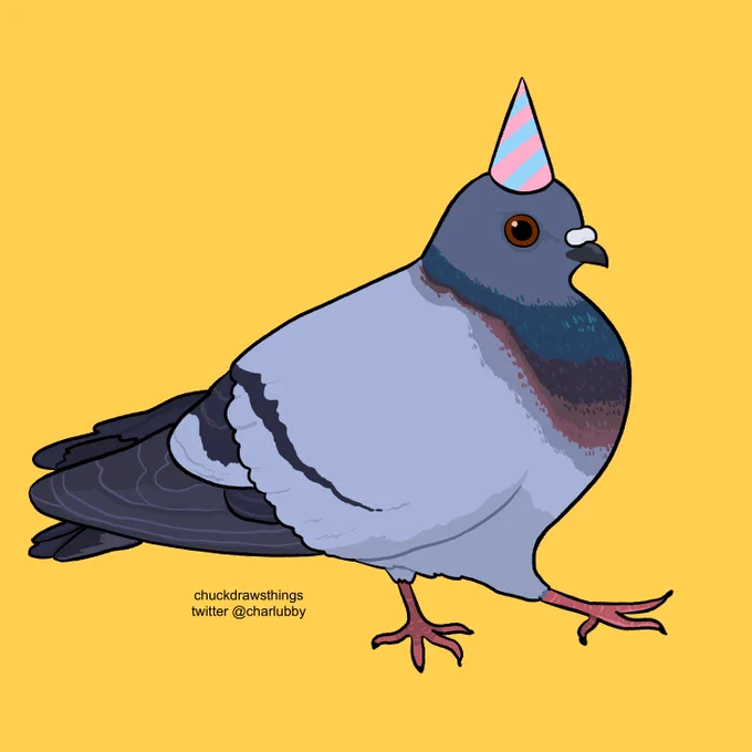 it's my birthday today so i drew a birthday pidge 🐦🍰 