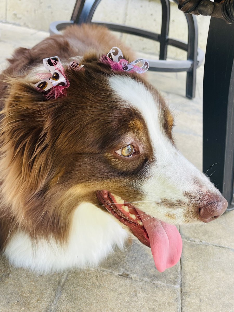 Sharing Sunday love from Luna ❤️