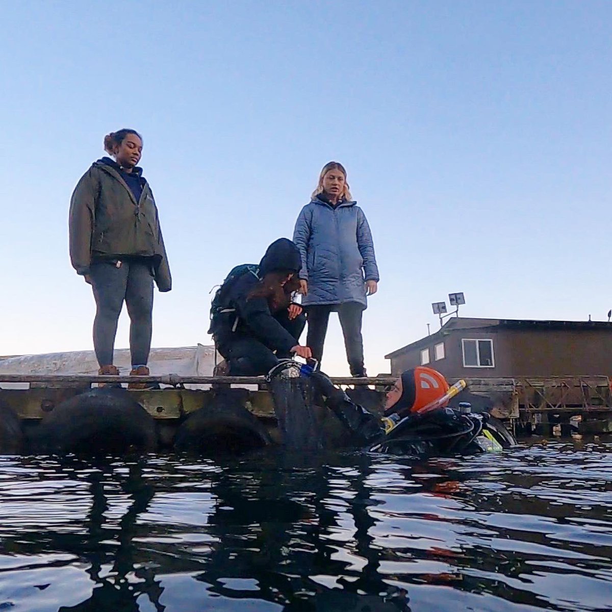 NU_ThreeSeas's tweet photo. Students jumped back in the water for sampling to create maps on the surface and the benthos of dissolved oxygen and pH! 

📚: Changing Global Oceans 
🧑‍🏫: @steve_doo 
📸: @its_scuba_shan &amp; Anik Grearson 

#nuexperience #northeasternuniversity #cosconnects #3Cs41 #fridayharborlabs https://t.co/Rb7i5Nd3qN