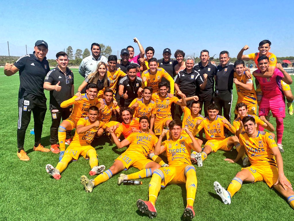 TigresOficial's tweet photo. 👊🏼🐯 ¡SOMOS LOS @TigresFB Y VAMOS POR LA COPA! https://t.co/t3tEPdyYb0