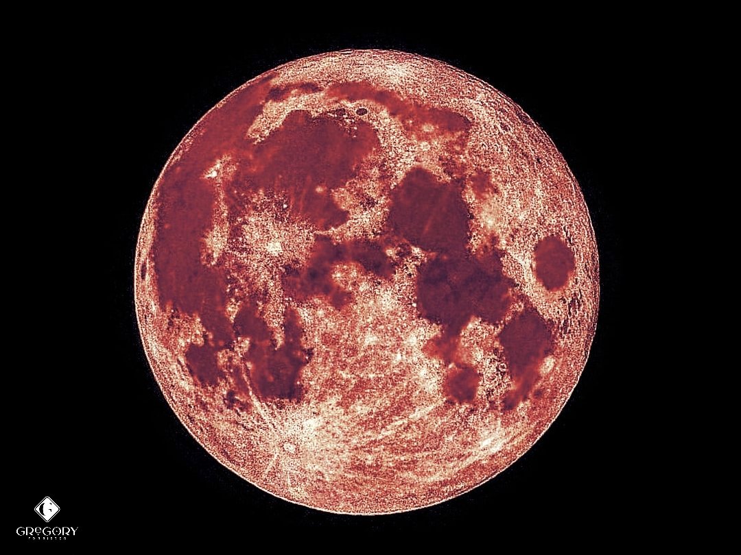 GregForrister's tweet photo. Tonight's #superbloodmooneclipse will begin just after 9:30 pm, with totality beginning around 11:30 p.m., and lasting until just before 1 a.m. 🤞for clear skies, or at very least, enough breaks in the clouds to allow for good viewing.  Happy shooting! 📷 
🌑🌒🌓🌔🌕🌖🌗🌘 https://t.co/qiI4mYfRNS