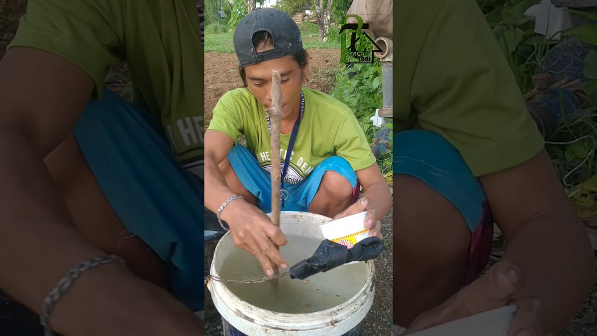 anizayoe's tweet photo. STARTING..‼️ HOW TO USE PROBIOTIC FOR OKRA.. #agriculture #farmers #organic #Philippines #pinoy https://t.co/2tGkrRYRYM https://t.co/1YGvERfbdK