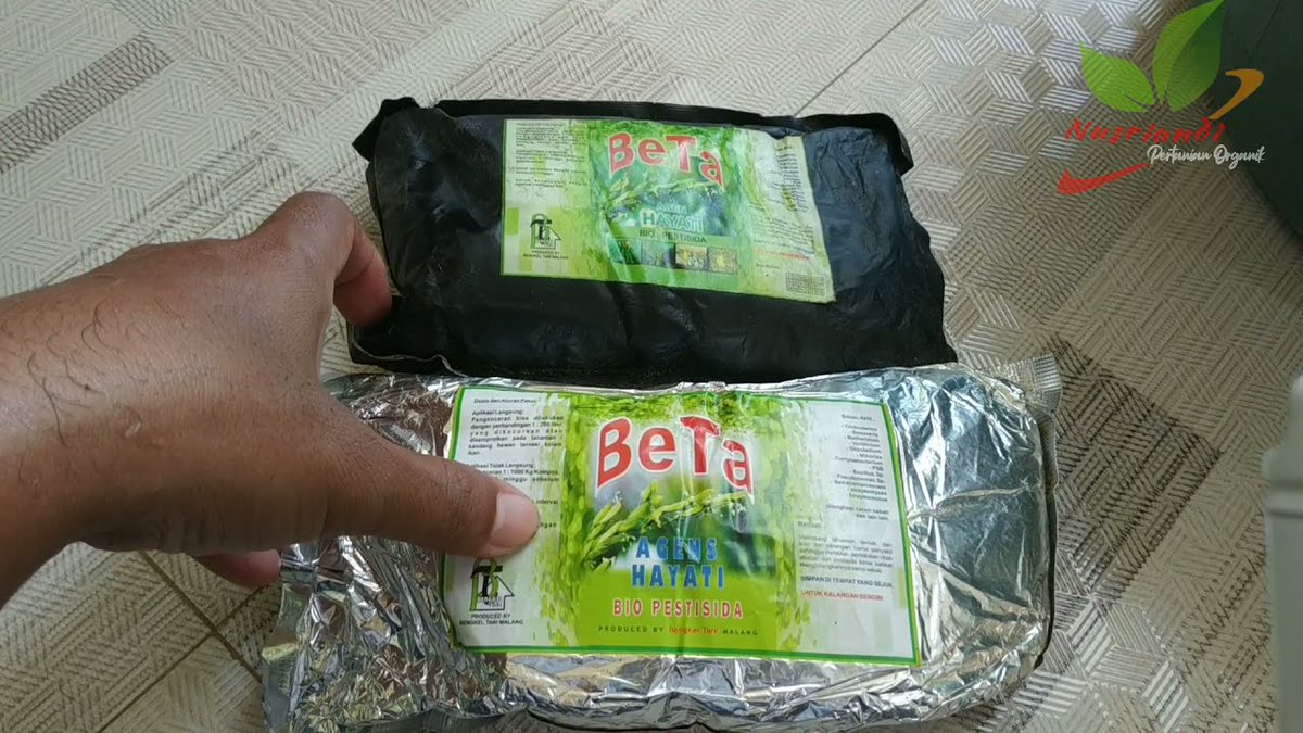 anizayoe's tweet photo. Cara Aktifkan BeTa Agen Hayati Menjadi Probiotik https://t.co/vR3U4KW4Il https://t.co/Qx1RklleKh