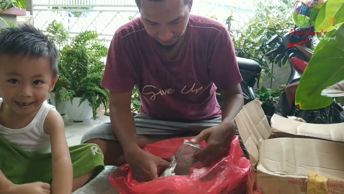 anizayoe's tweet photo. Unboxing Paket Amunisi Lengkap Program Pemupukan Porang dengan BeTa (Bengkel Tani Malang) https://t.co/ywVDDcO4zh https://t.co/RcwhByvVu3