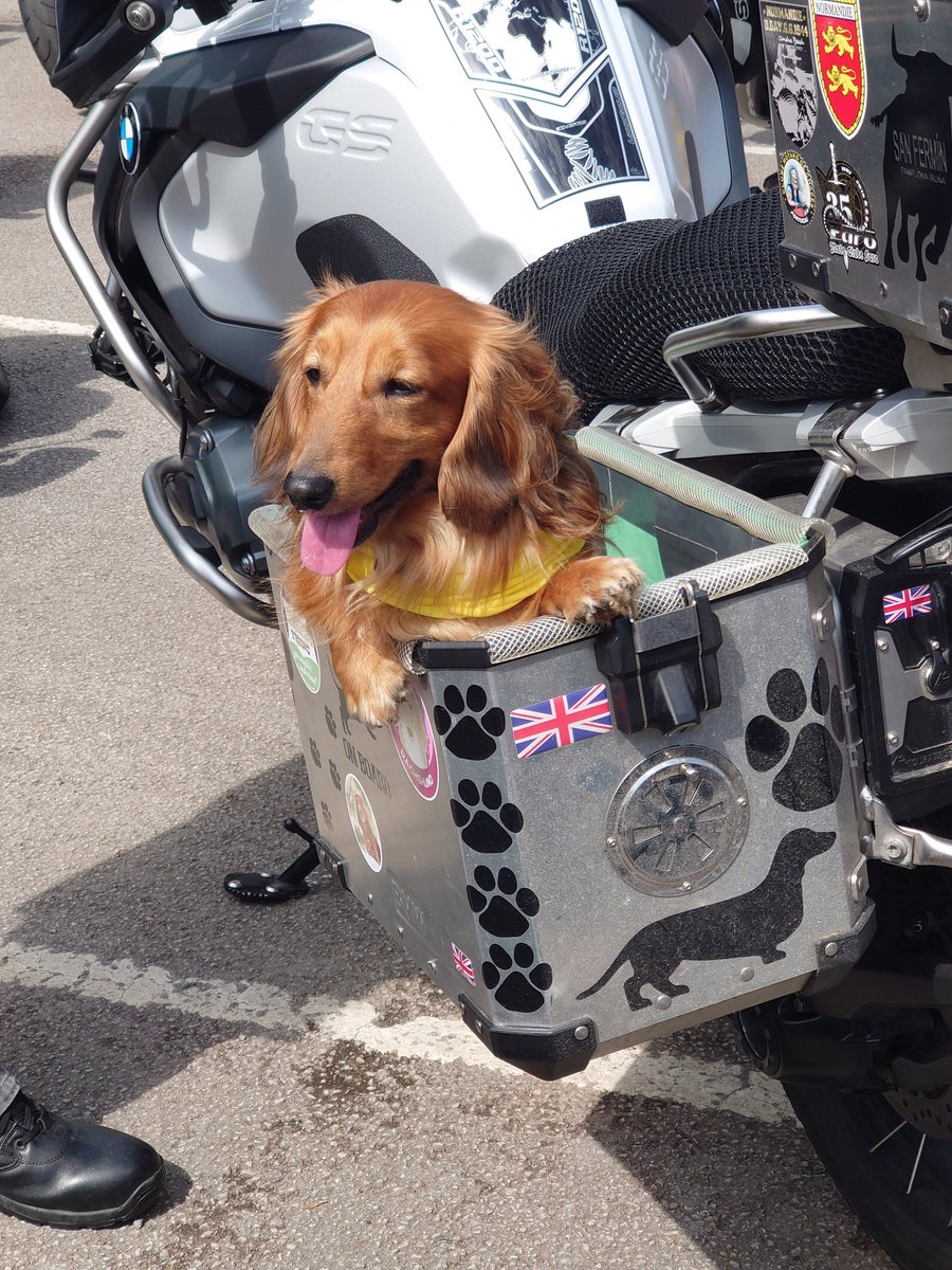 1davefergus's tweet photo. I took part in the #stephensutton ride out in aid of @TeenageCancer trust today, regretted wearing my wet weather gear as it was scorching by the time I got to the start point. #harleydavidson #motorcycles #motorbike https://t.co/uVrtLd9COL