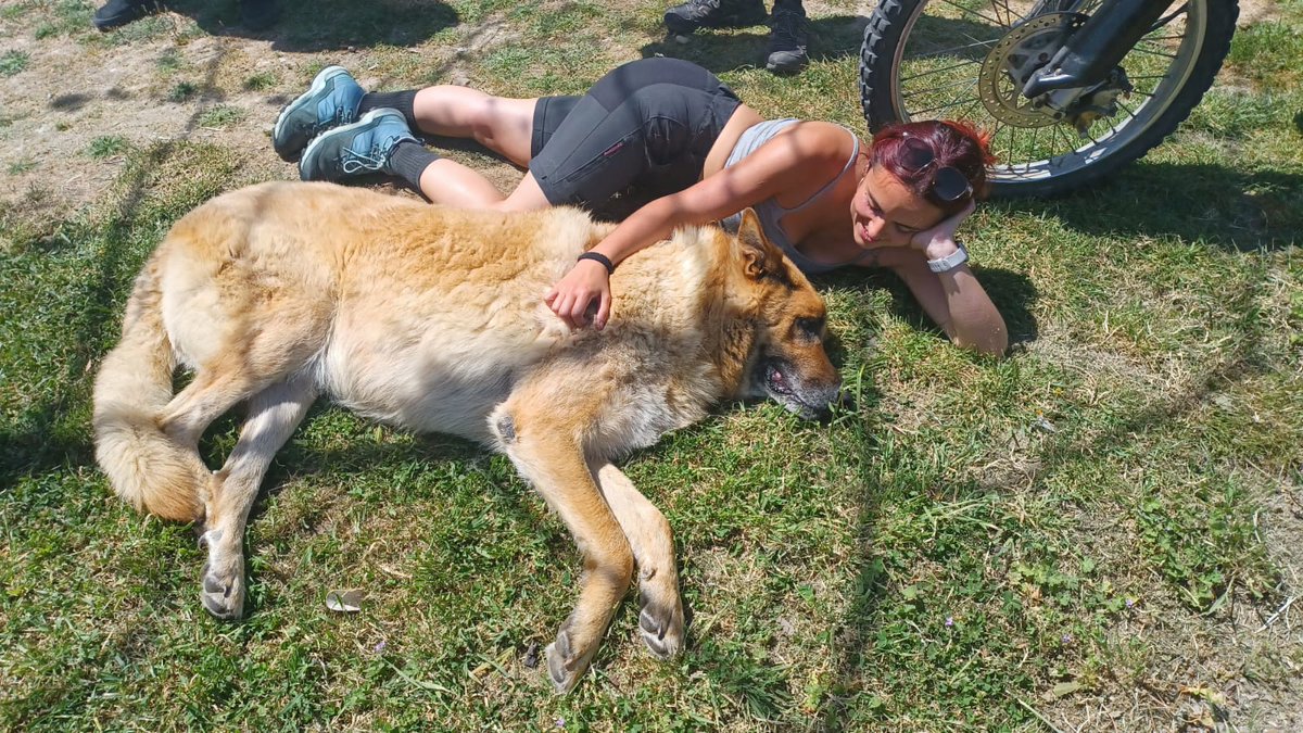 He estado de campamento y mirad que amigo mas majo hice