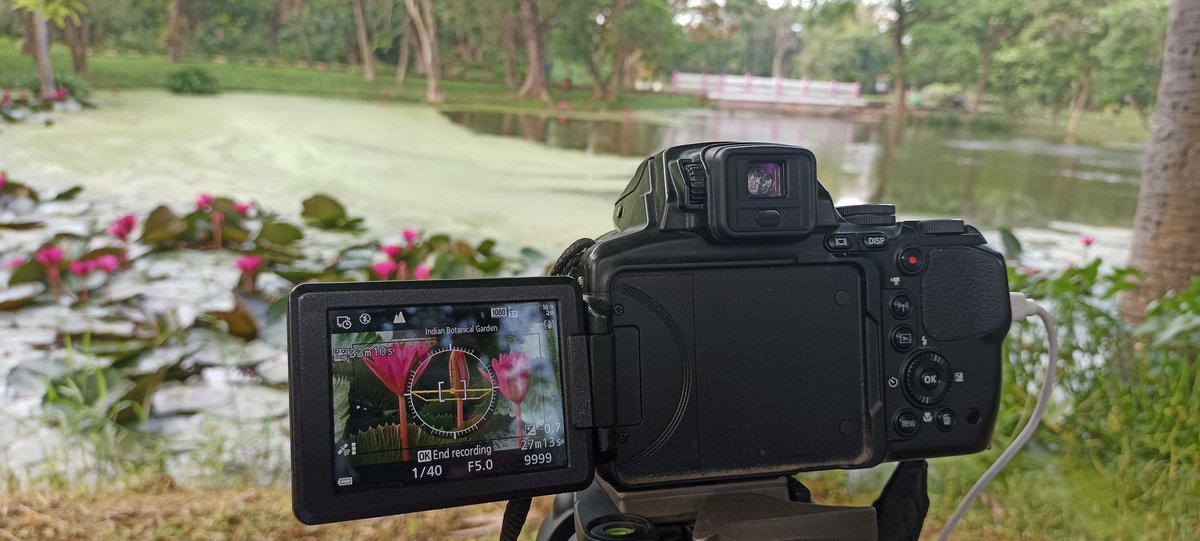 sanjayuki's tweet photo. #Timeslapse
#Waterlilies
#NaturePhotography
#PhotoOfTheDay https://t.co/KIPabngNbE