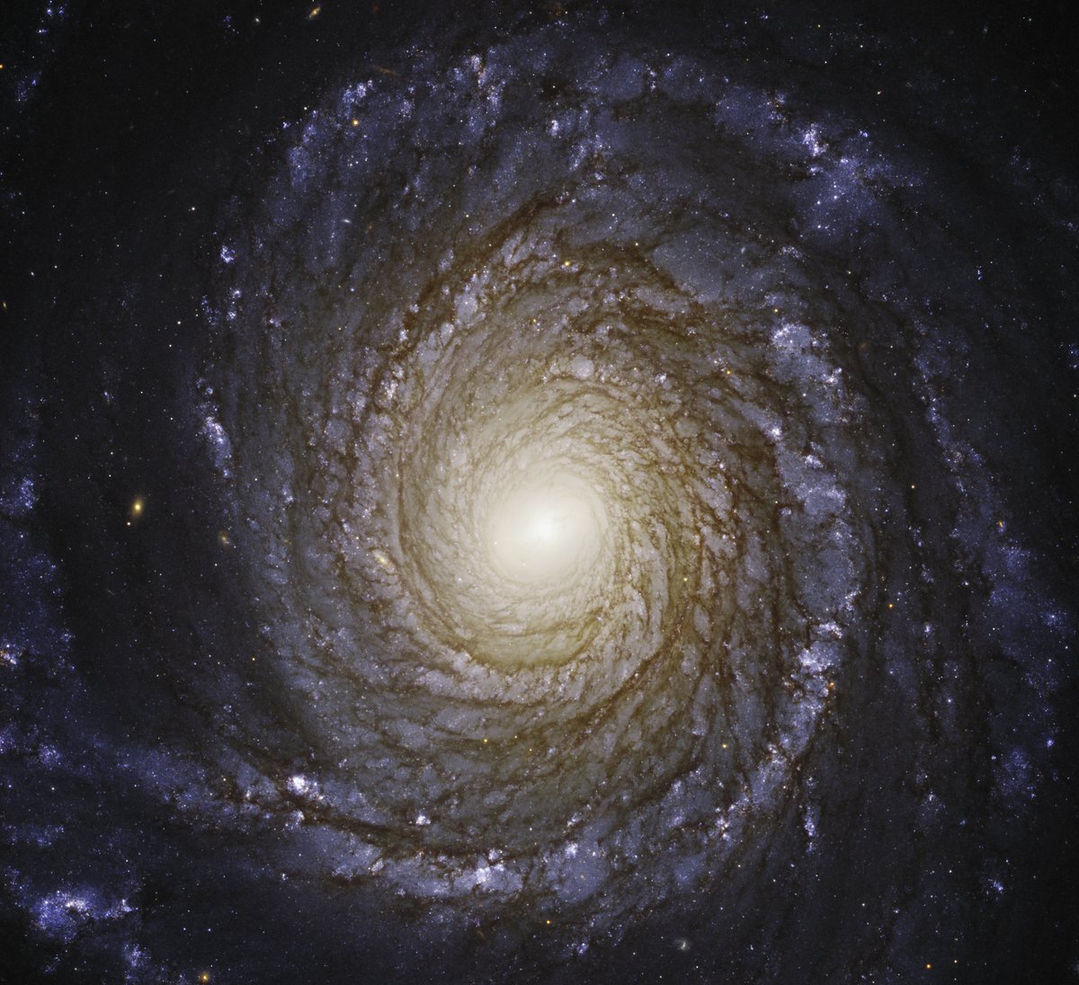 NASAHubble's tweet photo. About 130 million light-years away in the constellation Draco, the galaxy NGC 3147 resides.

Its winding, graceful spiral arms contain pinkish nebulae, young blue stars, and dust in silhouette.

Find out more: https://t.co/4qZMzyLhM2 

#GalaxiesGalore https://t.co/mCZmjJ4QAd