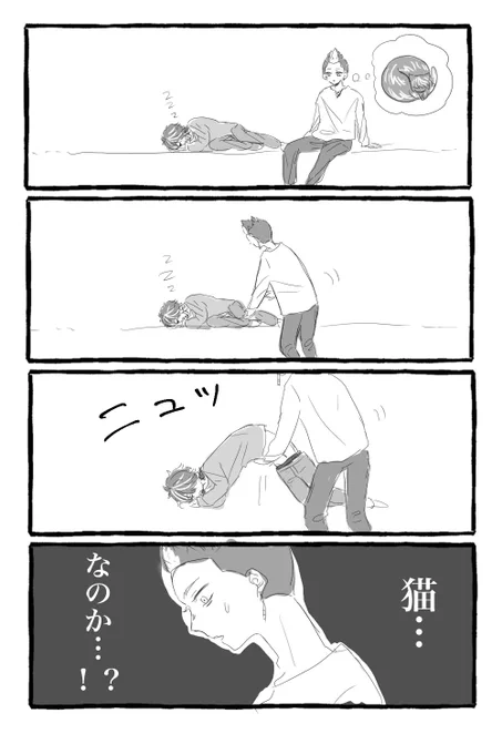虎です。