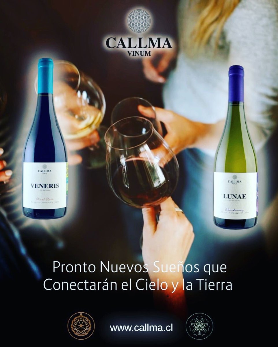 CallmaVinum's tweet photo. https://t.co/8VESDIfP7n #chileanwine #vinosconpersonalidad #viñaterosindependientes #vino #pequeñasproducciones #winelover #callmavinum #wineofchile #movichile_br #MOVILaTienda #lacavadelsommelier #bacovinobistro #movichile #restaurantedoncarlos🍽 #wine_promotion_ https://t.co/jd1MgRaAfE