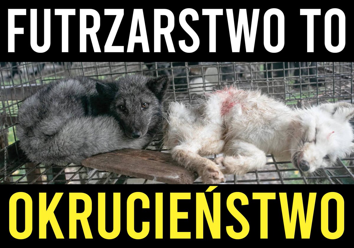nicollettte's tweet photo. #OchnikZrezygnujZFuter!!! https://t.co/CEgxdmspj0