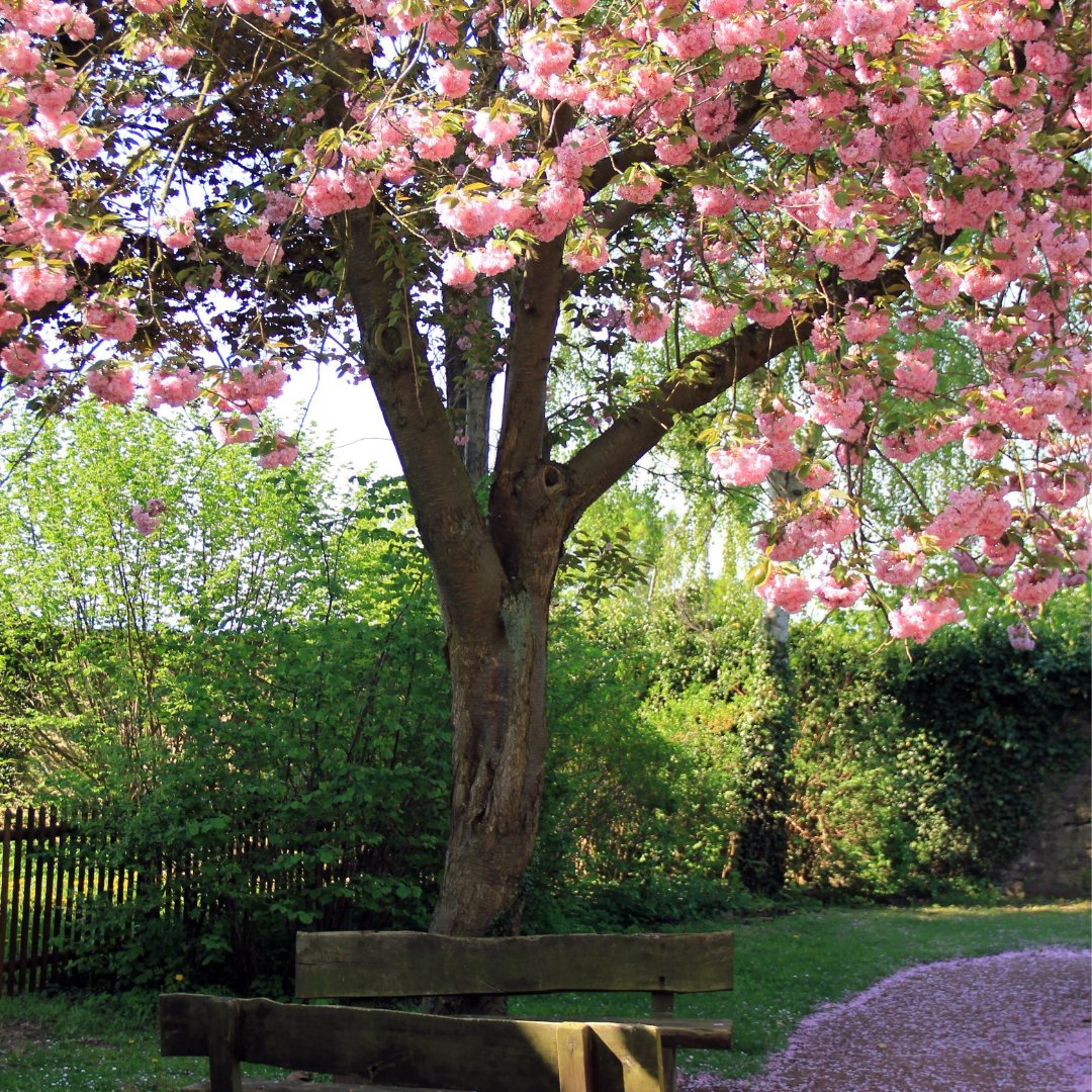 It's Sunday afternoon &amp; there's no better time to get outdoors and take in the late Spring fresh air - both great #anxiety antidotes.