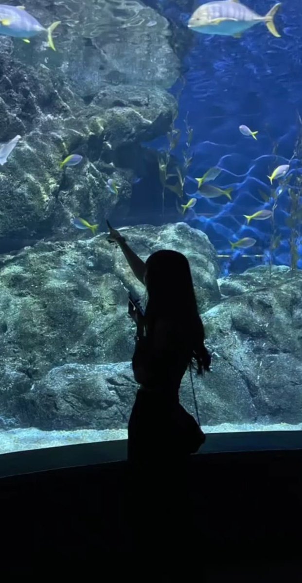 Kin_n01's tweet photo. Kitty with her fish😺🐟

📍sea life https://t.co/dGjIvH8VrD