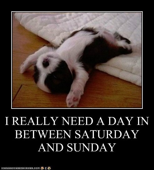 BugoutBrigade's tweet photo. What a weekend. I'm not ready for Sunday already. Need a #MulliganDay #DoOver #rtitbot #f4f #follo4follo #Folloback https://t.co/Hjh9GxLXFQ