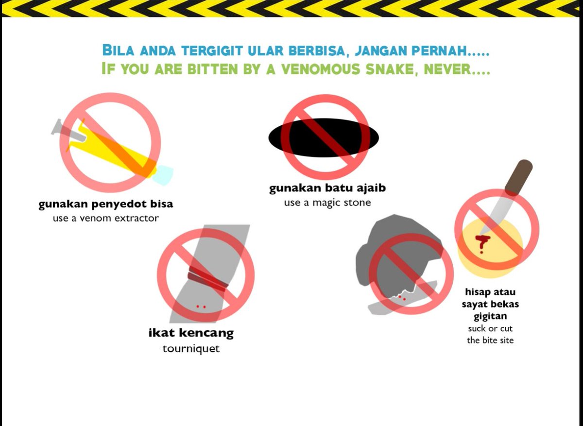 piyopikavet's tweet photo. Nah terakhir ini panduan pencegahan kecelakaan gigitan ular. 

Hal2 yg harus dilakukan dan hal2 yg dilarang saat kita tergigit ular berbisa.

Penanganan gigitan ular terbaik itu immobilisasi (alias diem, jangan panik), trus cari pertolongan medis. https://t.co/byPqFR0Ic6