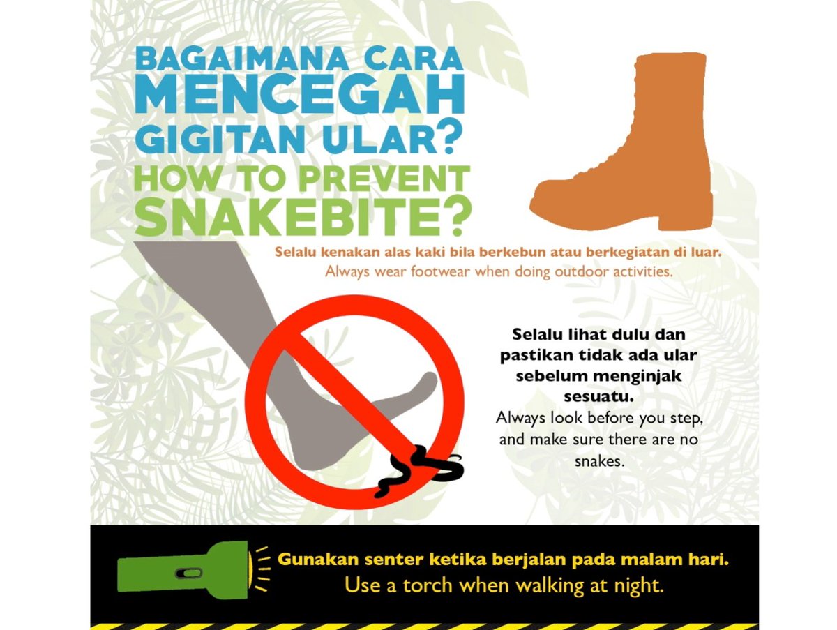 piyopikavet's tweet photo. Nah terakhir ini panduan pencegahan kecelakaan gigitan ular. 

Hal2 yg harus dilakukan dan hal2 yg dilarang saat kita tergigit ular berbisa.

Penanganan gigitan ular terbaik itu immobilisasi (alias diem, jangan panik), trus cari pertolongan medis. https://t.co/byPqFR0Ic6