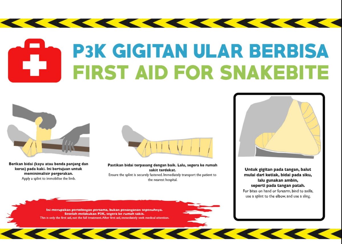 piyopikavet's tweet photo. Nah terakhir ini panduan pencegahan kecelakaan gigitan ular. 

Hal2 yg harus dilakukan dan hal2 yg dilarang saat kita tergigit ular berbisa.

Penanganan gigitan ular terbaik itu immobilisasi (alias diem, jangan panik), trus cari pertolongan medis. https://t.co/byPqFR0Ic6