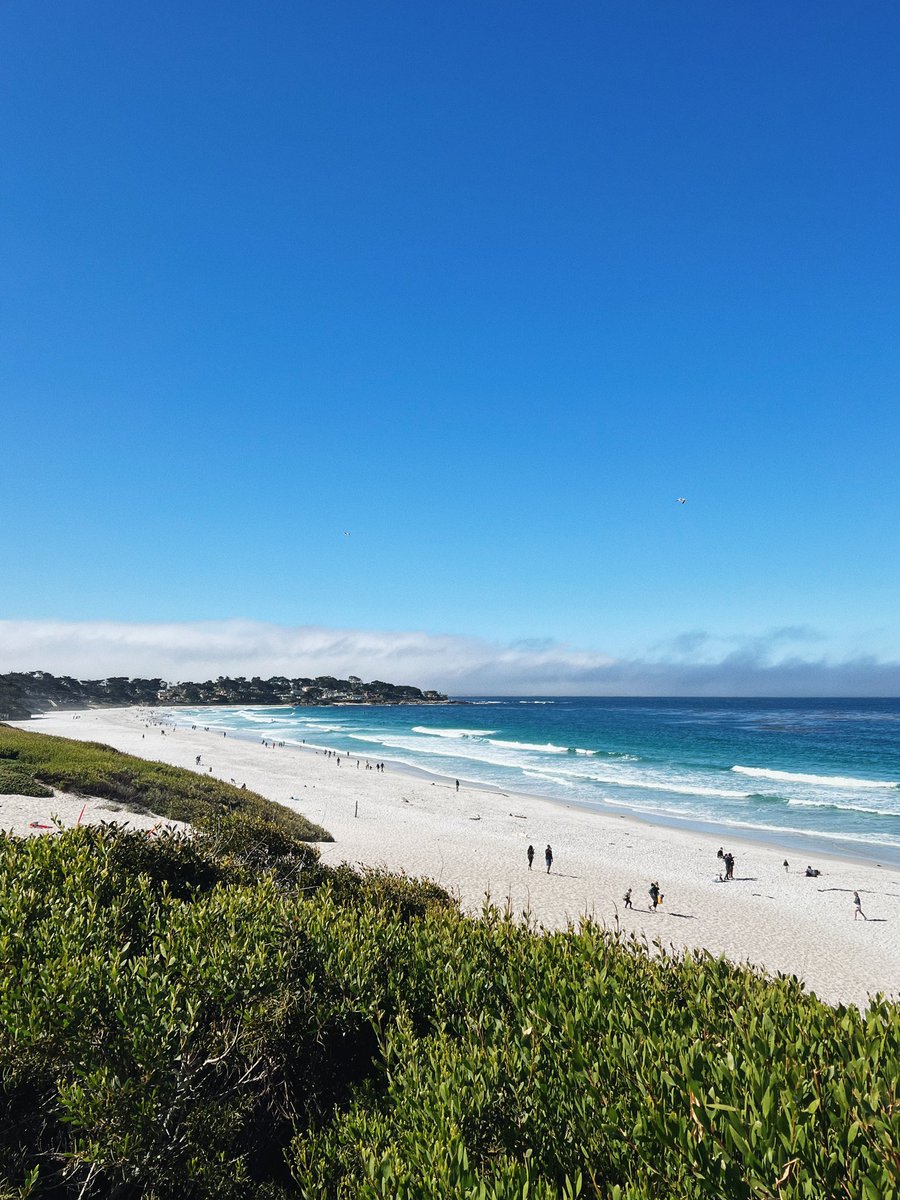 moiraechambers's tweet photo. Beautiful Carmel. I love the central coast https://t.co/Apxdar3K64