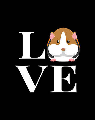 LowfieldPrimary's tweet photo. Breaking news- the guineapigs have been named!
The brown one - Cocoa
The black &amp; white one - Sonic
Thank you, Mrs Quinlen, for organising and the Young Leaders for choosing. https://t.co/ikU6LESOz2