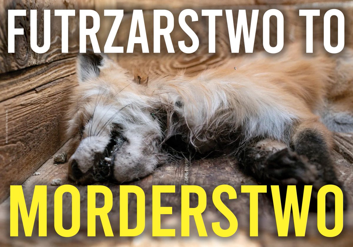nicollettte's tweet photo. #OchnikZrezygnujZFuter!!! https://t.co/rheHAIpSIg