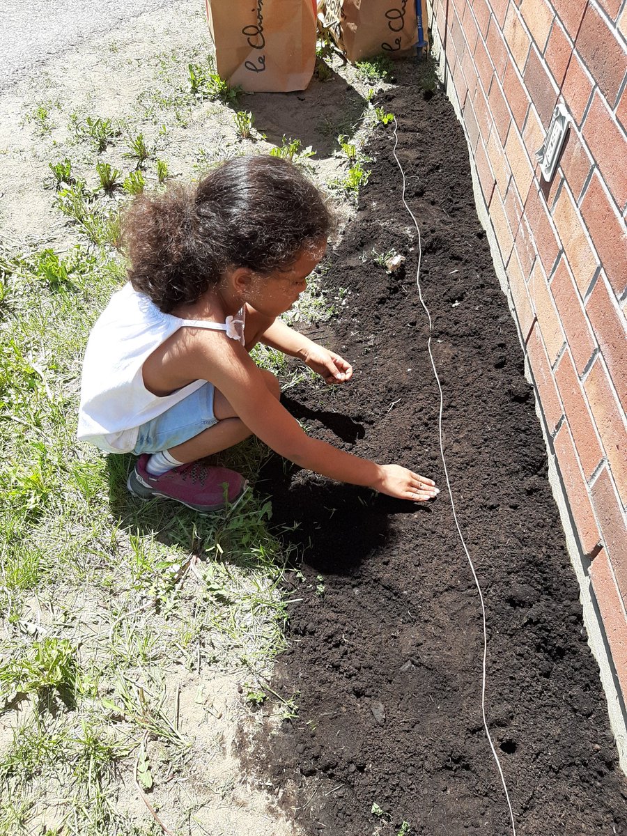 Avec ce beau soleil, nous avons planté des graines de tournesols que nous verrons en septembre. #classenature <a href="/ecolecatholique/">CECCE</a> @LoignonL <a href="/GabrielleLefe/">Gabrielle Lefebvre</a> @JulieTerpstra <a href="/EcoSchoolsCAN/">EcoSchools Canada</a>