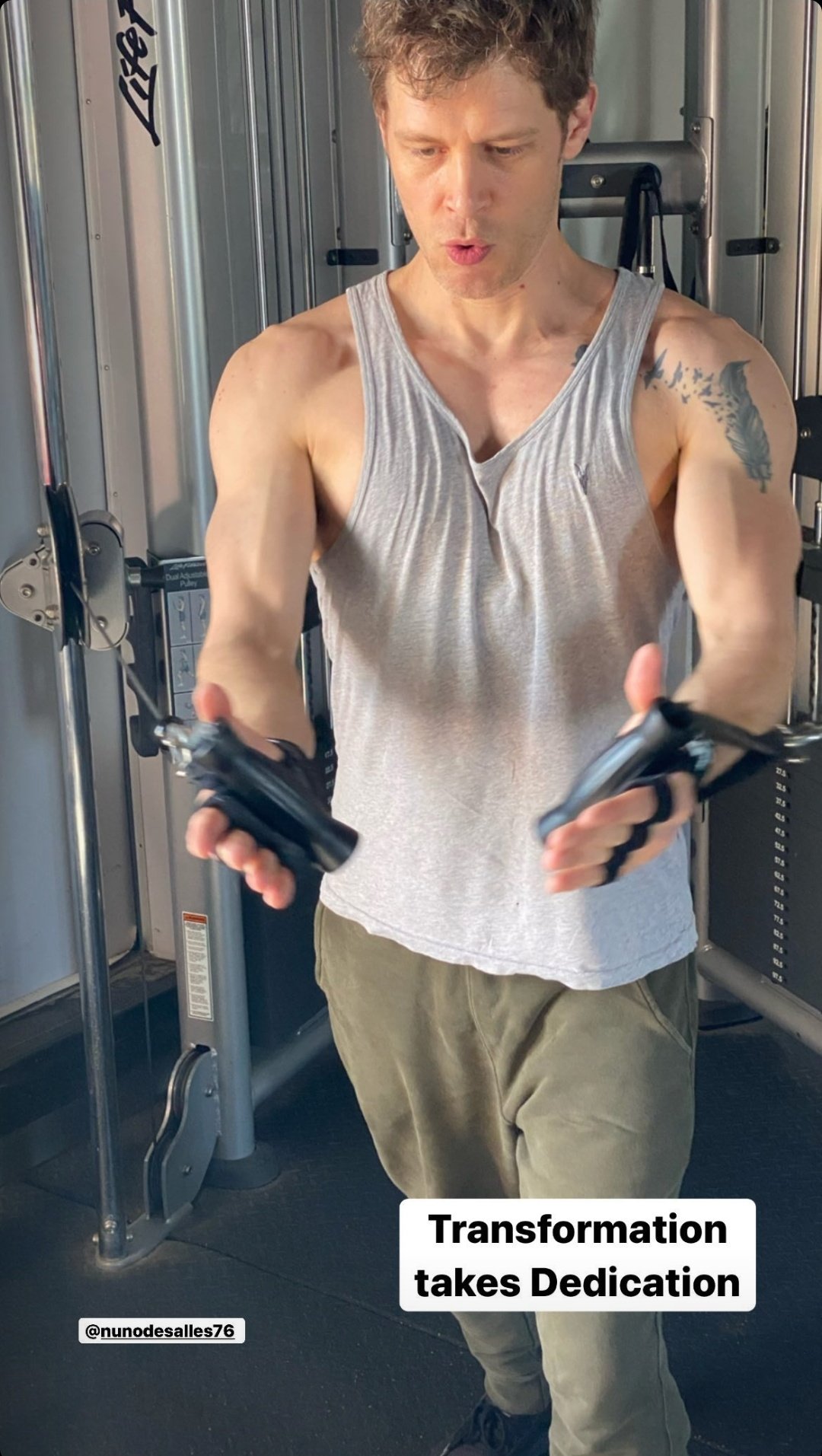ِalyn on X: "joseph morgan gym content means TIME TO GO FERALLLL  https://t.co/65TfffU8i5" / X