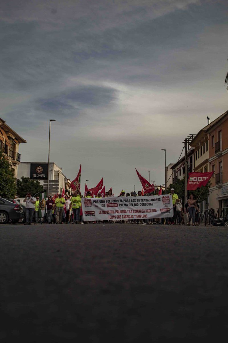 Solución ya al problema de <a href="/zumosolespana/">Zumosol</a> con sus 38 trabajadores/as de la planta de Palma Del Río.

Paga todo lo que debes y plantea un plan de viabilidad.

Nos ha dado de baja en la seguridad social para no pagar despidos…

Máxima difusión posible, sigue nuestra cuenta,RT.