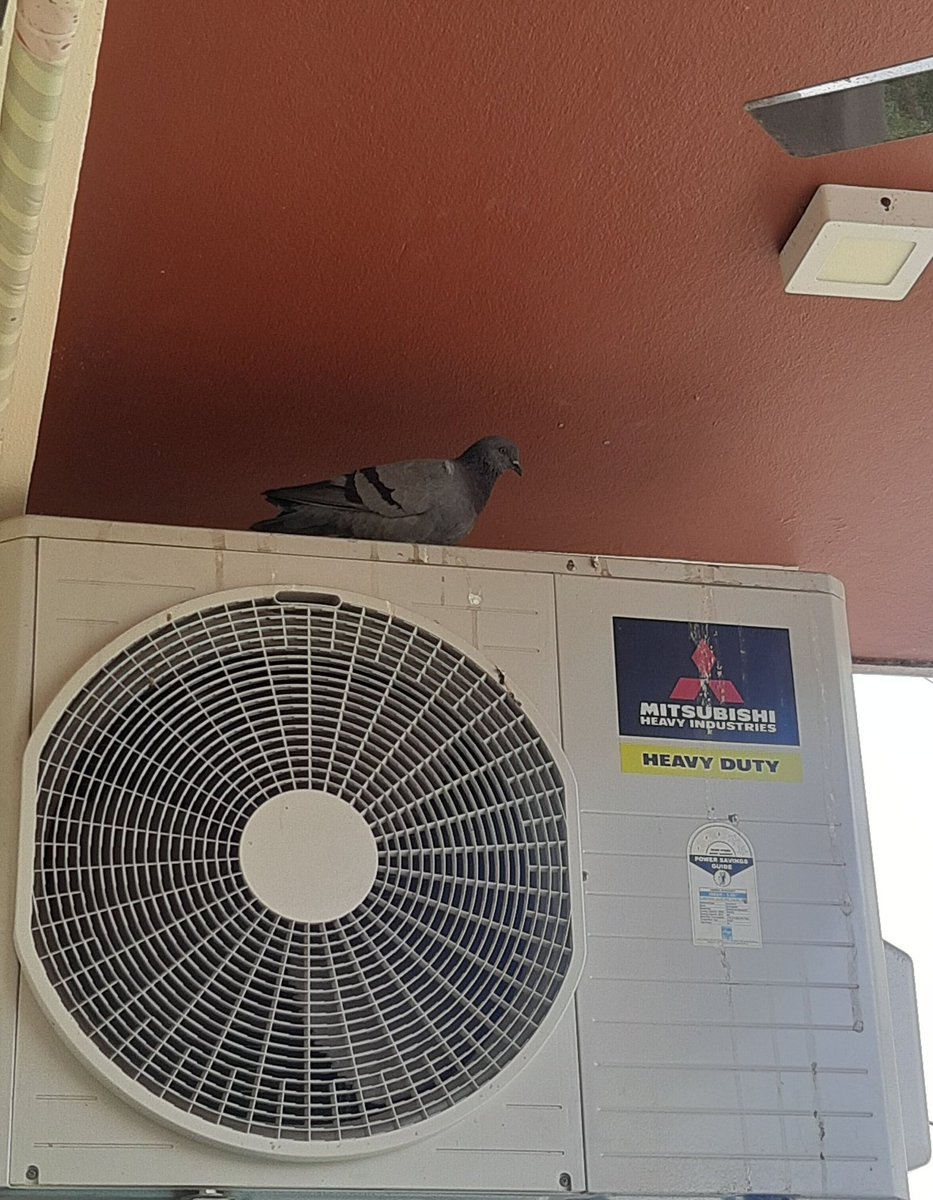 tanupriya_09's tweet photo. Why my parents won't allow me to swtich on AC. 🤦♀️
#MiddleClassThings #ParentsThing https://t.co/h8yWshhVoh