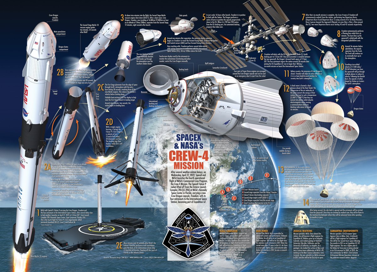 InfographicTony's tweet photo. Free for educational &amp; personal, non-profit use (incl YouTube) go to: https://t.co/mQbx9i6reI 
For my mini poster book go to: https://t.co/6kXRkeQe0Q Also consider joining me on https://t.co/1SO3IADkFG 
Get some fantastic merchandise from https://t.co/F0hcZ5cdTr https://t.co/ewn7yDEVLa