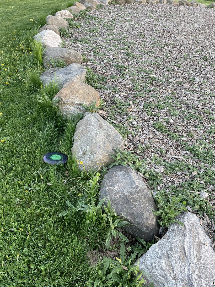 Got out and Played Capital Springs in Madison last night, pretty open on the front 9 and wooded on the back. They have an island hole and my disc landed in bounds and then skipped, hit the rock on the edge, and slowly fell OB for an unfortunate penalty stroke. #DiscGolf