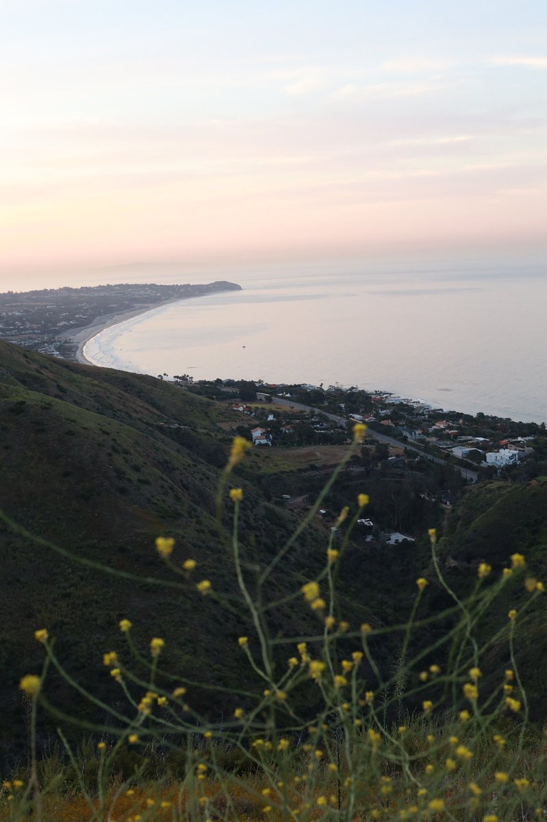melodieusee's tweet photo. sunrise in Malibu yesterday
soon to be in Maui today

happy to be on this beautiful planet

excited for a short + intentional break from all things internet

brb;TPWK https://t.co/ZVYPxfGDWN